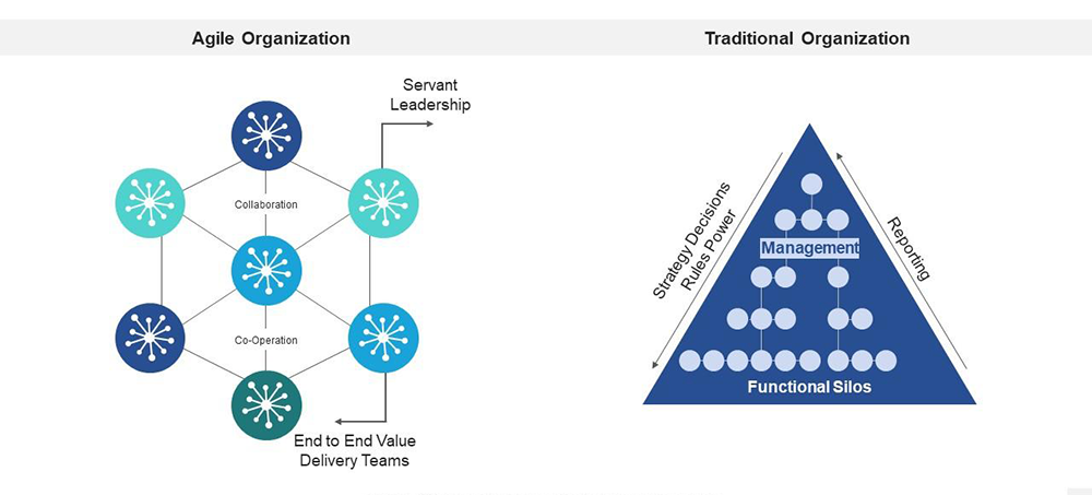Agile Organization Diagram