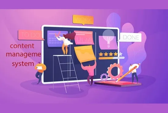 کدام سیستم مدیریت محتوا مناسب کسب و کار شماست؟ CMS اختصاصی یا متن باز؟